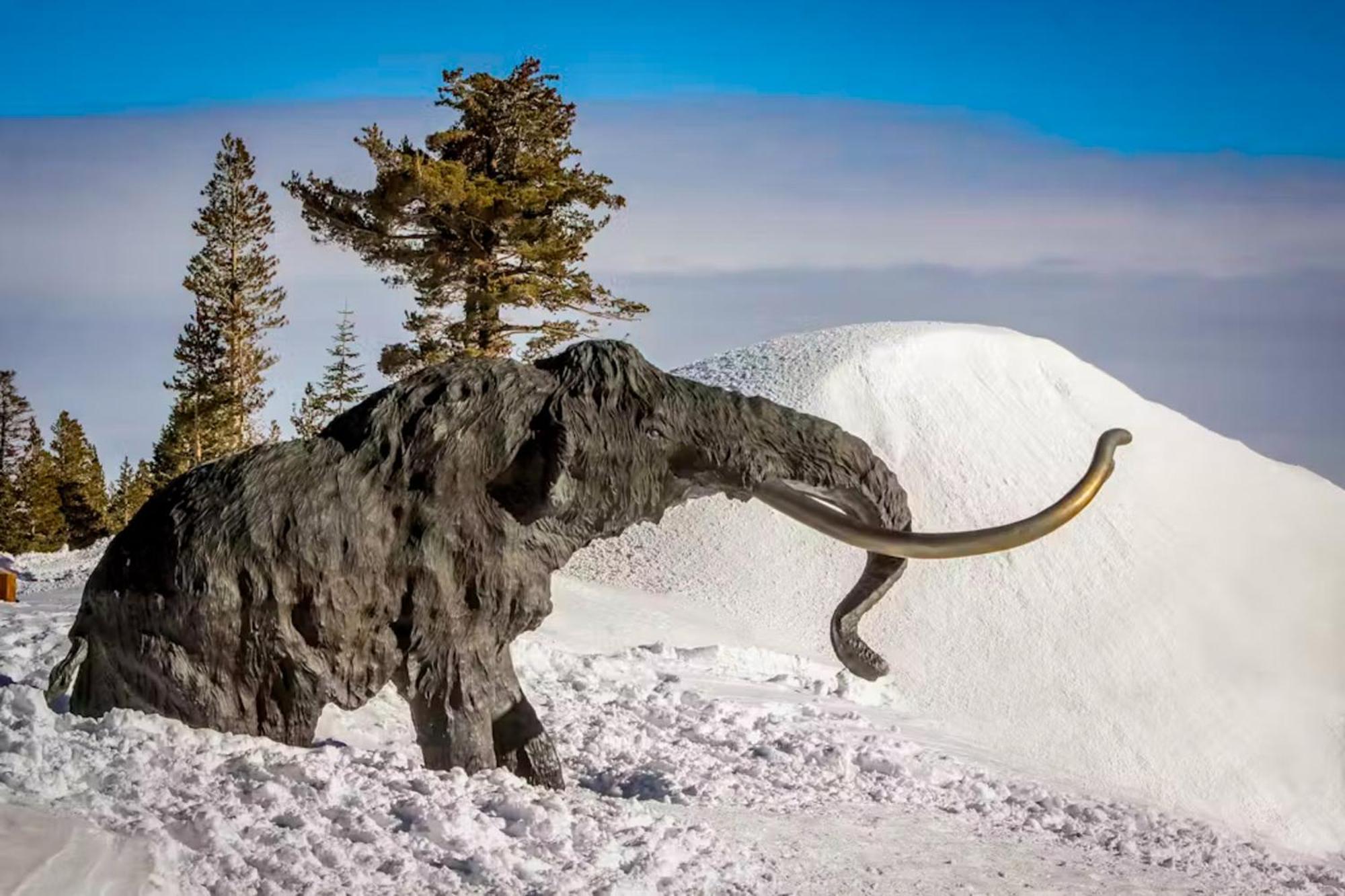 Appartamento La Vista Blanc Mammoth Lakes Esterno foto